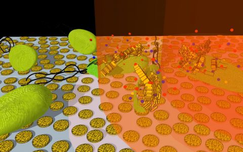 #纳米周报#石墨烯新技能-检测人体血糖含量