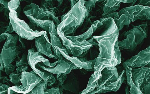 惊呆! 恼人褶皱却赋予石墨烯新的生命力?