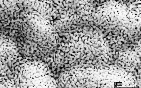 “海绵宝宝”让你晚上开车更安心