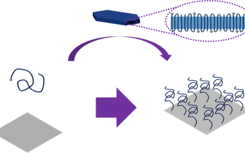 #高分子周报#能“自洁”的衣服