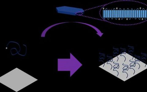 新方法制备高分子纳米刷——抗污于无形之中