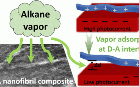 烷烃燃料蒸汽的追踪者