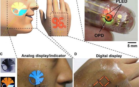Science Advances:超柔韧有机光子皮肤