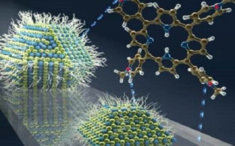 硫化铅量子点的“吸光大法”