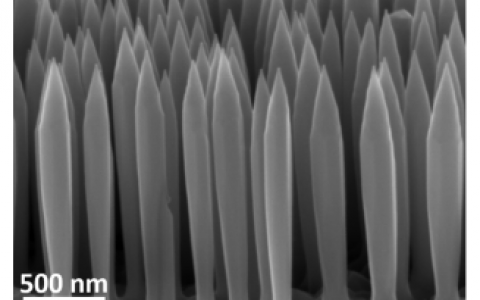 Nano Letters文献解读:纤锌矿型磷化铟纳米线的压力依赖型光致发光研究