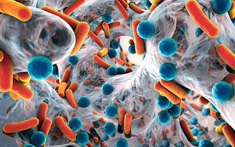 新型抗菌薄膜——真菌、细菌无懈可击