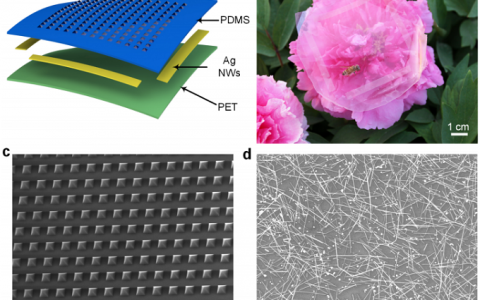 ACS Nano:北京大学成功研制出能够自供电的高分辨率智能皮肤