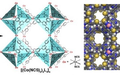 IUCrJ文献导读:东京大学升级晶体海绵技术 非晶结构测试到达新高度