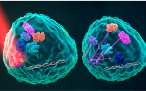 ACS Nano:近红外光响应纳米材料控制深层组织细胞信号传递