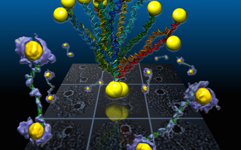 #高分子材料周报#大显神通的木纤维素