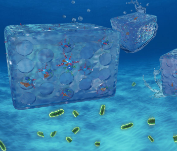 多功能纳米颗粒让净水如此简单