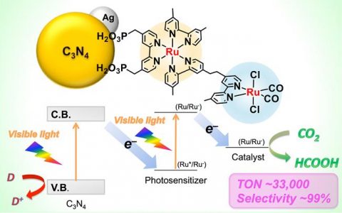 JACS 文献导读:受自然光合作用启发,双核Ru(II)配合物与有机半导体在可见光区构筑高持久性的二氧化碳还原体系