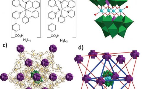 芝加哥大学林文斌教授Angew.Chem:分级整合光敏化的MOFs和含镍多金属氧酸盐(POM)用于有效可见光驱动催化制氢
