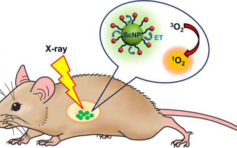 ACS Nano综述文献解读:闪烁纳米粒子作为能量传递媒介用于增强型光动力治疗