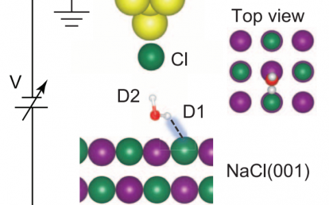 王恩哥Science:探针增强无弹性电子隧穿技术测量氢键中的核量子效应