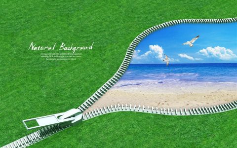 #新能源材料周报#低成本高性能的纸状电极