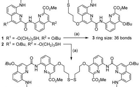 Angewandte Chemie:通过二硫键使大分子选择性自组装为螺旋形结构