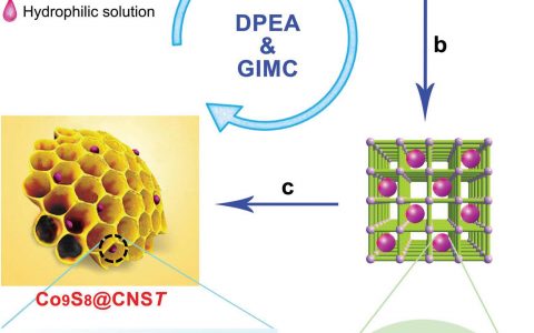 顶刊动态 | 近期MOF材料研究进展汇总【MOF材料20160520】