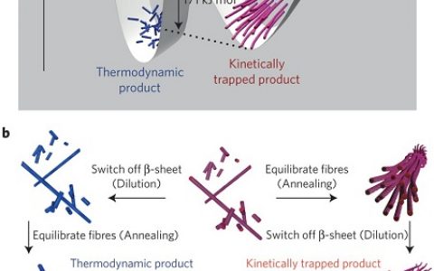 顶刊动态|4月份Nature Materials材料前沿科研成果精选