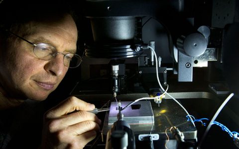 电致变色聚合物的好辅助:等离子体