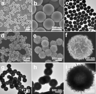 anie201601673-fig-0002