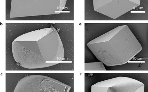 Nature materials:康奈尔大学通过添加氨基酸谐调优化方解石硬度