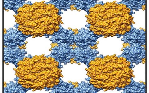 原来泊松比也可以为负数?这么多年物理白学了!