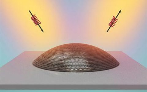 Advanced Materials:浙大陈红胜组研发全偏振3D超颖表面斗篷