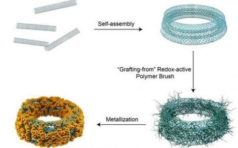 顶刊动态 | PANS/AM/JACS/Nano Letters等期刊生物材料学术进展汇总(5.11-5.19)