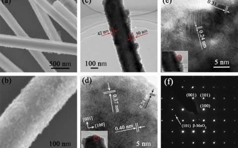 学术干货 | 高质量文献是如何分析SEM和TEM表征结果的?