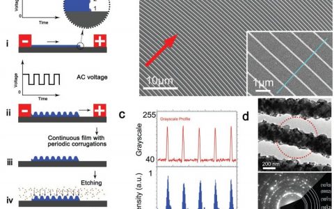 Advanced Materials:在任意形状的基体表面电沉积三维金属纳米结构