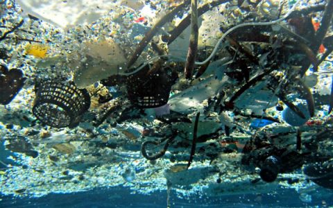 都错了 可生物降解塑料就是一个大谎言?!