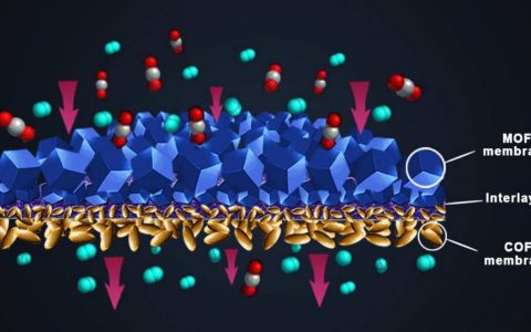 吉大裘式纶教授组JACS:COF-MOF复合膜的制备及其对H2/CO2混合气体的高效选择性分离
