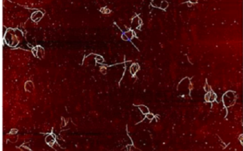 顶刊动态|Nature子刊/JACS/Biomacromolecules等高分子材料学术进展汇总【160608期】