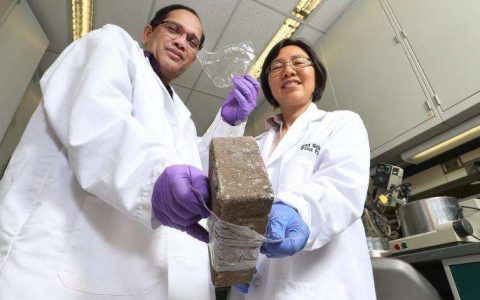 生物降解塑料又一力作:从木屑到纤维素薄膜