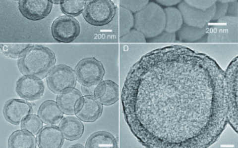 学术干货 | 测量纳米颗粒粒径的10种方法(附资源)
