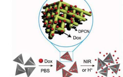 顶刊动态 | Nature子刊/AM/AFM/ACS Nano生物材料学术进展汇总(6.3-6.9)