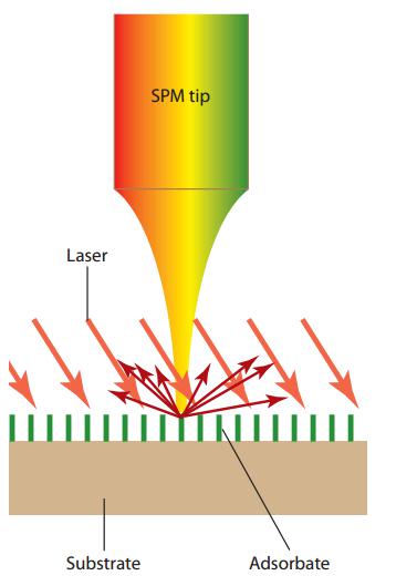 学术干货 | 品顶刊文献,玩转表面增强拉曼散射(SERS)