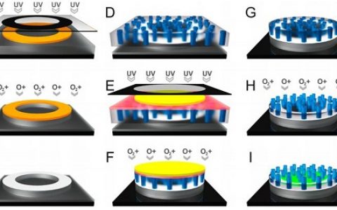 顶刊动态 | Nature子刊/AM/ACS Nano等生物材料学术进展汇总【160618期】