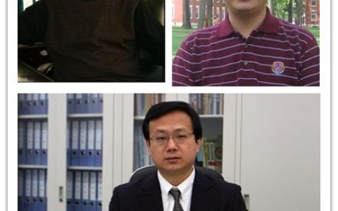 Advanced Materials:吉大杨文胜等制备出具有磁场感知能力的仿生一维超顺磁磁铁矿阵列