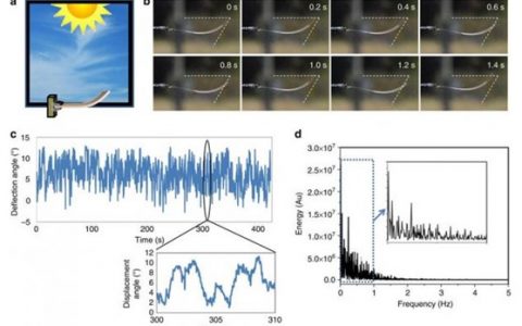 太阳光下“会跳舞”的新型塑料
