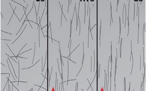 锂电池遇上磁场,容量更上一层楼