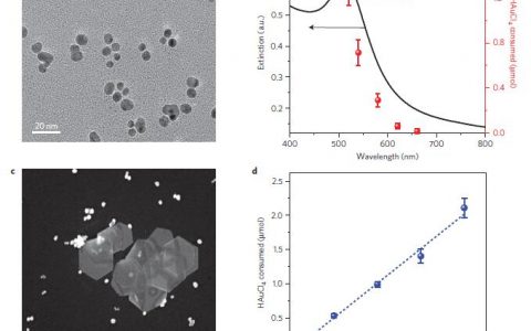 Nat. Mater. 聚乙烯吡咯烷酮在等离子驱动合成过程中引起金纳米柱各向异性生长