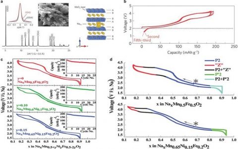 Adv. Energy Mater. Kisuk Kang关于钠离子电池电极材料研究综述