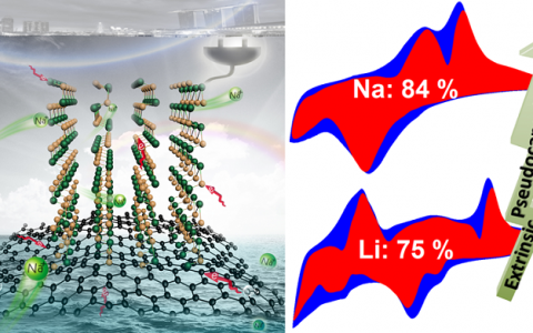 Nat. Commun. 南洋理工大学提出容量与倍率共存钠离子电池的构建机制