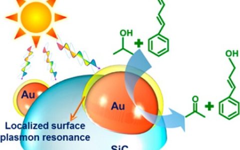 顶刊动态|Nature子刊/AFM/JACS等一周中国学术进展汇总【第53期】