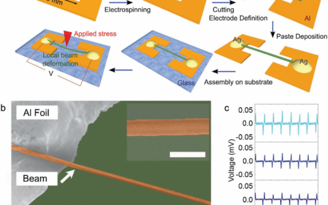 Adv. Mater. 乙烯共聚物中剪切压电效应在分子模拟等方面的应用