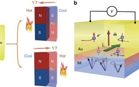 日本东北大学发现黄金的“磁性魅力”