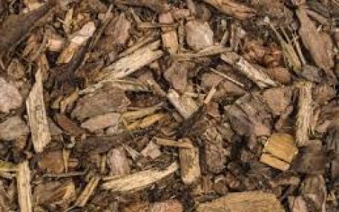 利用木质素生产琥珀酸——更快,更省,更“友好”