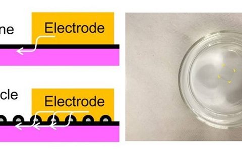 纳米洋葱是什么?可以吃吗?